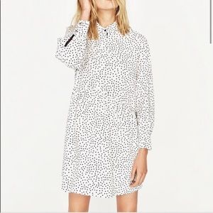 Zara Polka Dot Shirt Dress